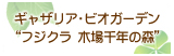 フジクラ木場千年の森