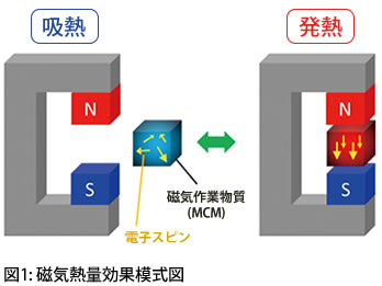 図1: 磁気熱量効果模式図