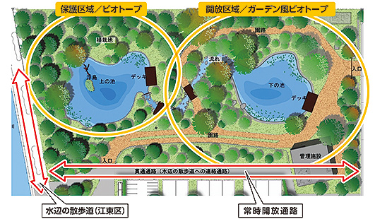 フジクラ 木場千年の森