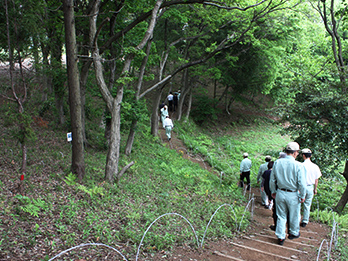 佐倉千年の森