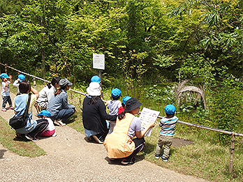 「千年の森」と地域コミュニティ
