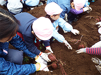 「千年の森」と地域コミュニティ