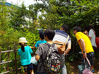 地域コミュニティの「こども夏まつり」に参加