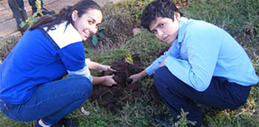 「National Tree Day」の活動