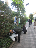 道路清掃