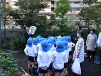 生き物たちについて学習
