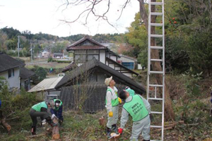 雑木の伐採