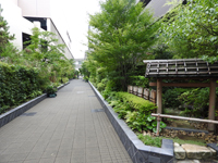 四季の小路