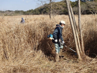 身長ほどある草の刈取り！