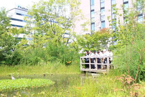 ビオトープ見学会