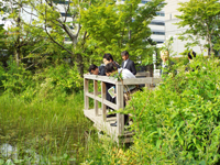 地元自治体責任者「千年の森」に来園