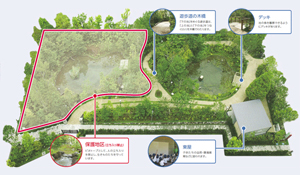 フジクラ 木場千年の森