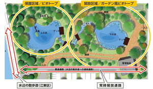 フジクラ 木場千年の森
