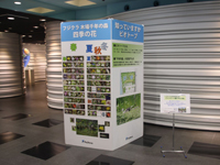 生きもの図鑑パネル