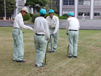 芝生養生作業